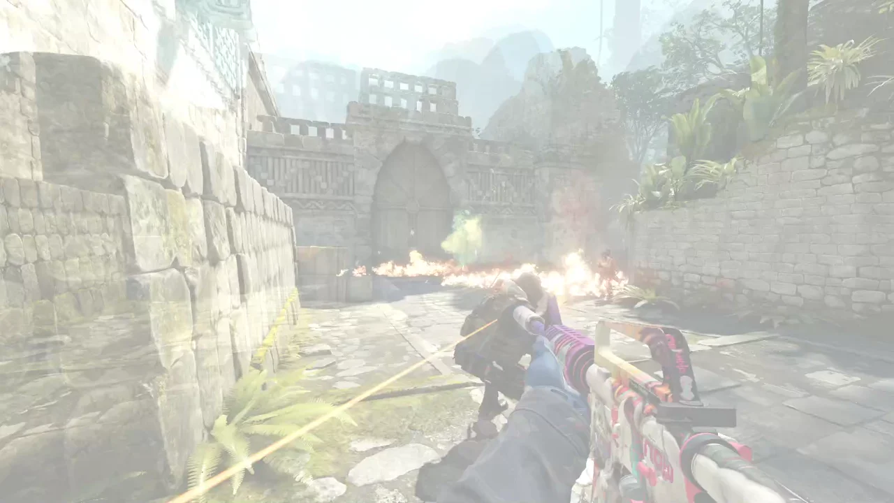highlight